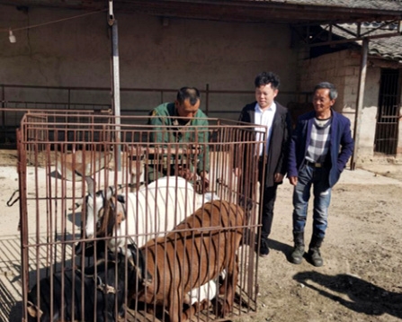 1577411459849313.jpg s_1912261645446363680.jpg