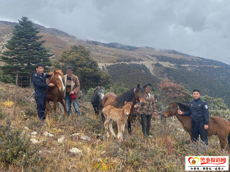 跋山涉水72小时 木里警察终为牧民寻回丢失马匹